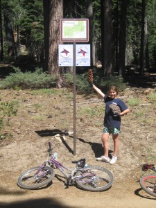 Pinecone Lady Liberty